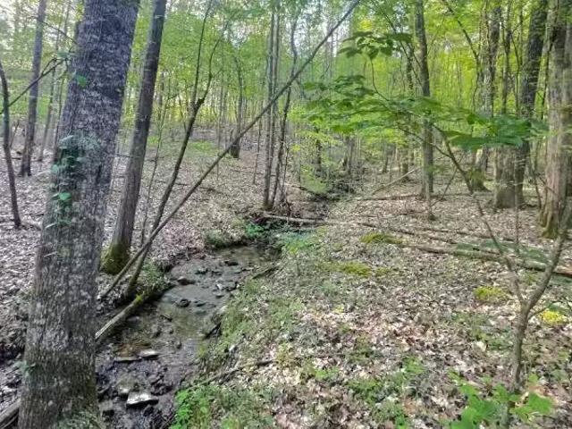 House for rent in Russellville, Alabama