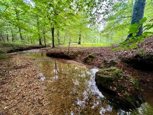 Land for sale in Florence, Alabama