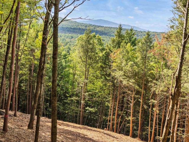 Land for sale in Greenfield, Hillsborough County