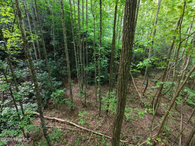 Land for sale in Andrews, Cherokee County