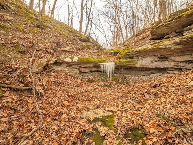 Farm for sale in Bellflower, Missouri