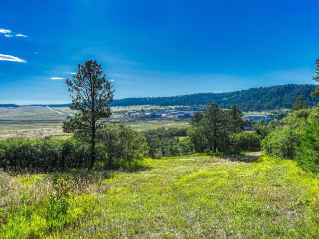 Property for sale in Palmer Lake, Colorado