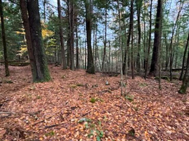Land for sale in New Hampshire