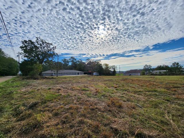 Commercial for sale in Bogue Chitto, Mississippi