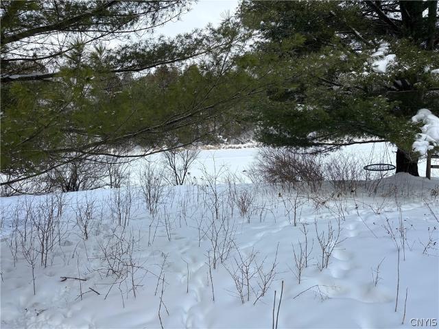 Land for sale in Chaumont, New York