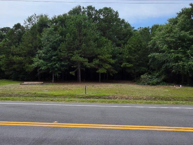 Land for sale in Summerton, South Carolina