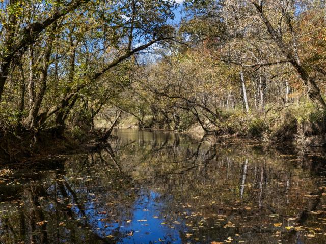 Farm for sale in Stamping Ground, Kentucky