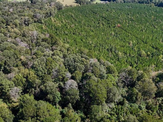 Land for sale in Summit