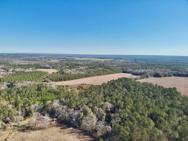Land for sale in Columbia, Alabama