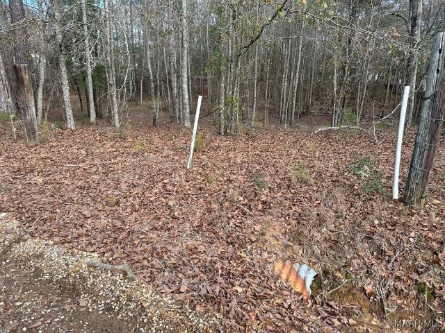 Land for sale in Brundidge, Alabama
