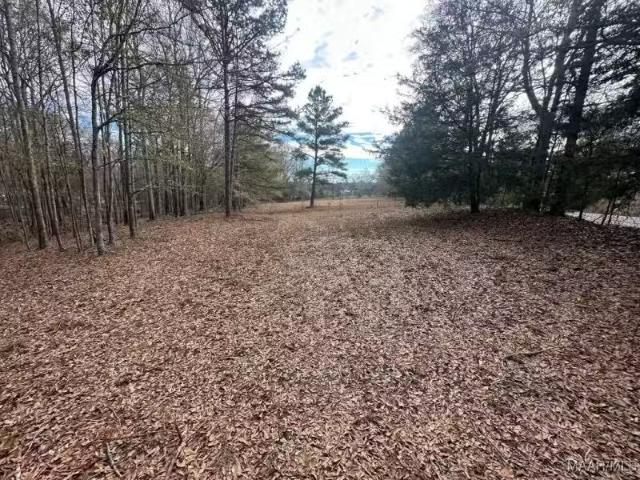 House for rent in Troy, Alabama