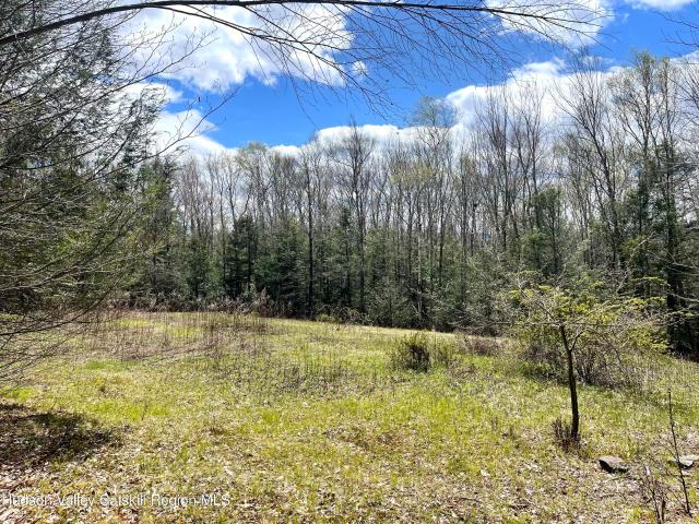 Land for sale in Ashland, New York