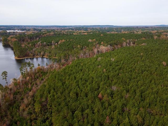 Land for sale in Shelby, Texas