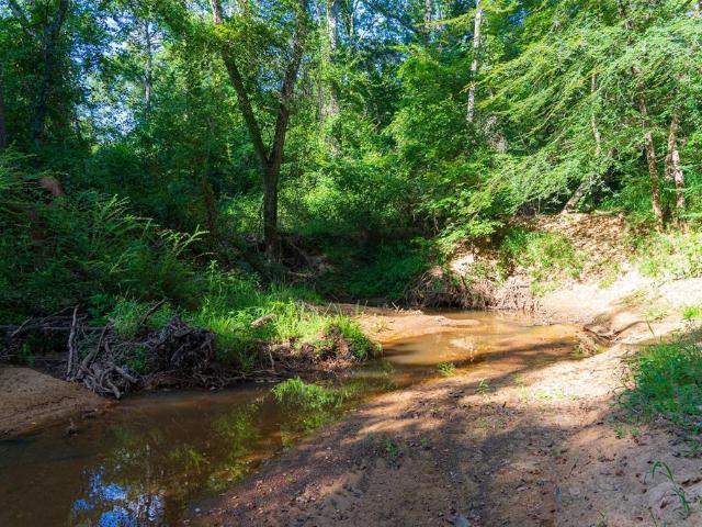 Land for sale in Rusk, Texas