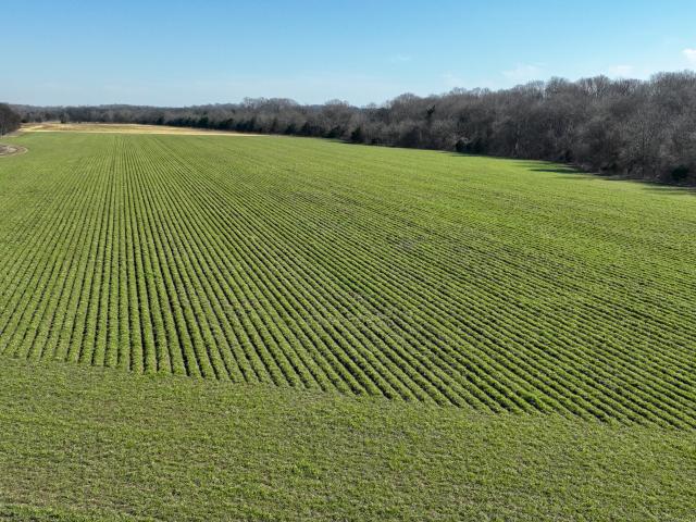 Land for sale in Okolona, Mississippi