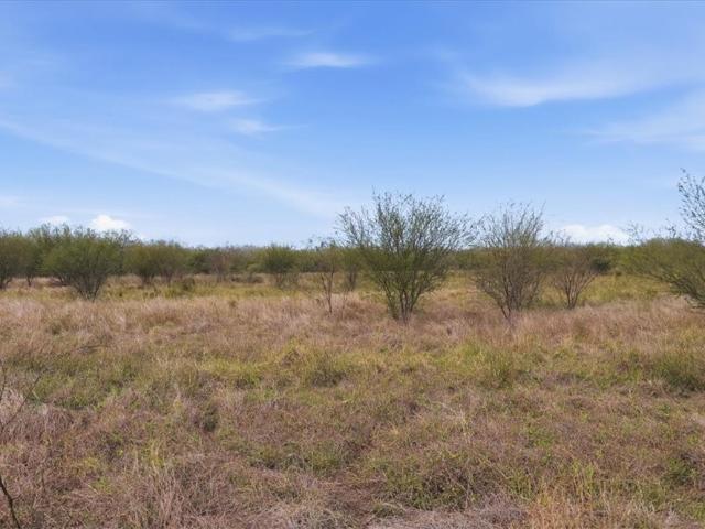 Farm for sale in Alice, Texas