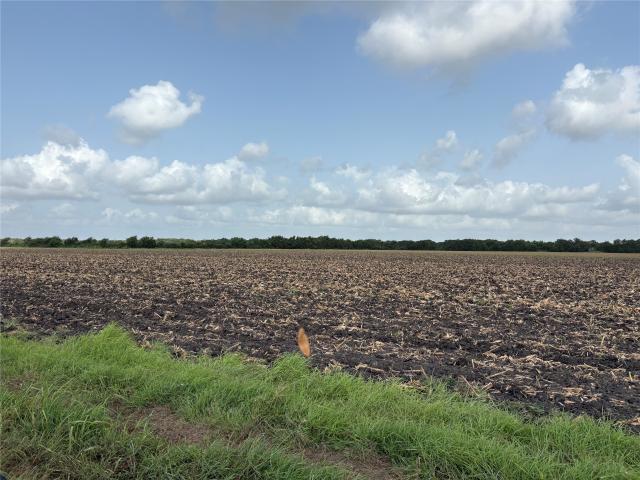 Land for sale in Ganado, Texas