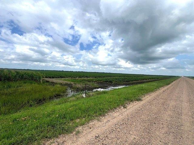Land for sale in Wharton, Texas