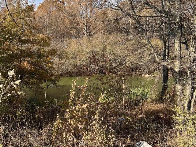 Land for sale in Ark