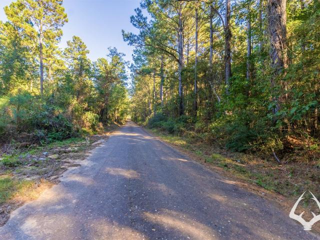 Land for sale in Mount Enterprise, Texas