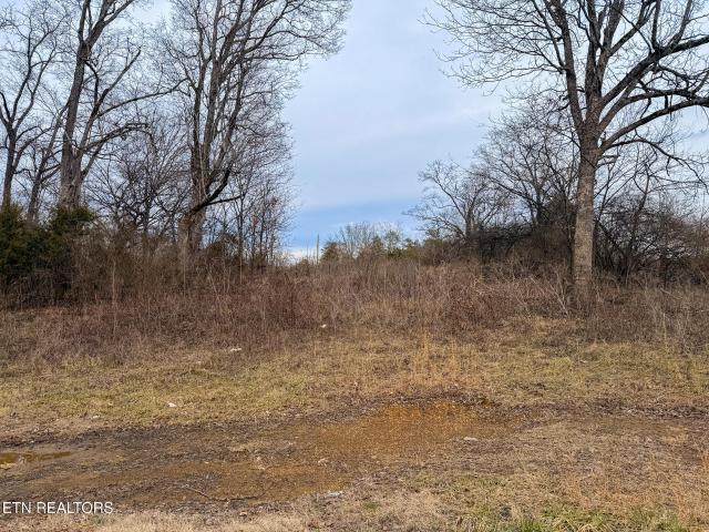 Land for sale in Tennessee