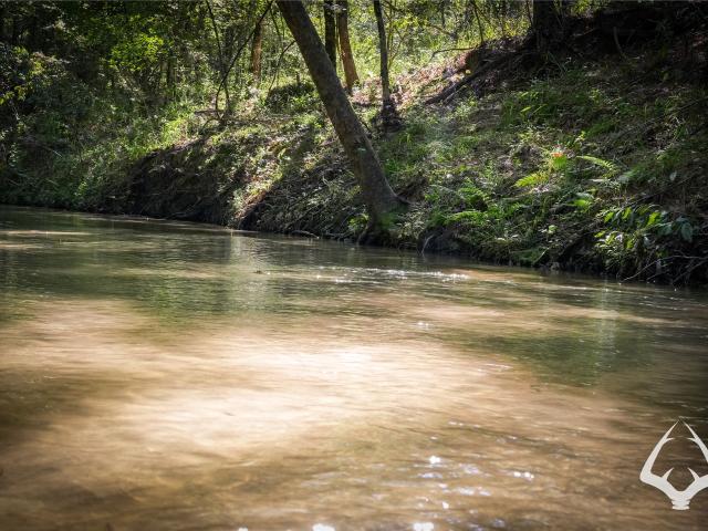 Land for sale in Colmesneil, Tyler County