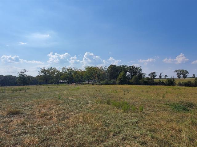 Land for sale in Geneva, Alabama
