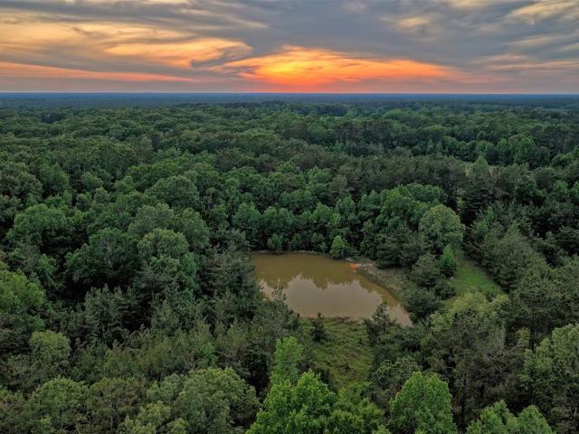 Land for sale in Panola, Texas