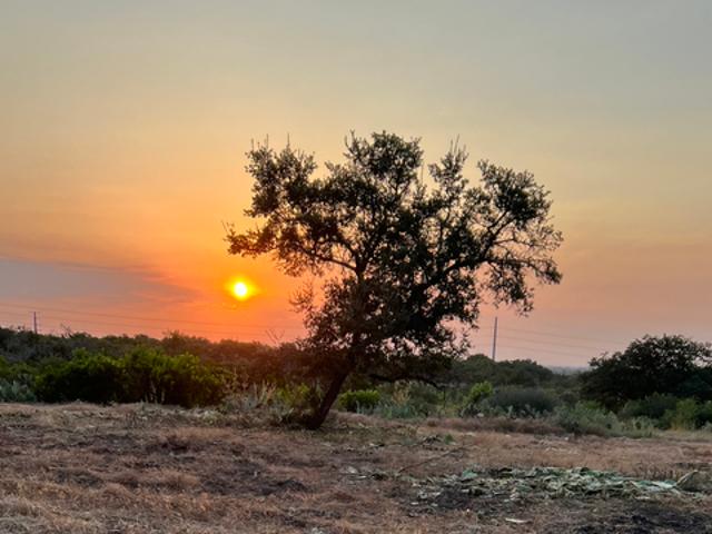 Land for sale in Castroville, Medina County