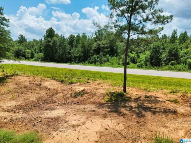 Land for sale in Jemison, Chilton County
