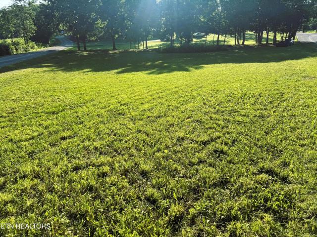 Land for sale in Tennessee