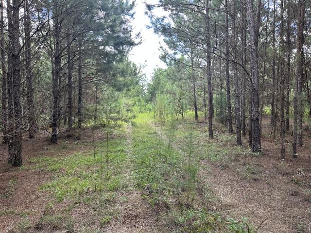 Land for sale in Columbia, Alabama