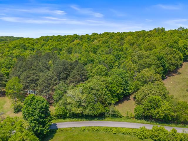 Land for sale in Riceville
