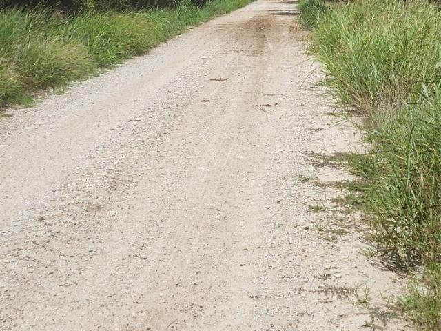 Land for sale in Limestone, Texas
