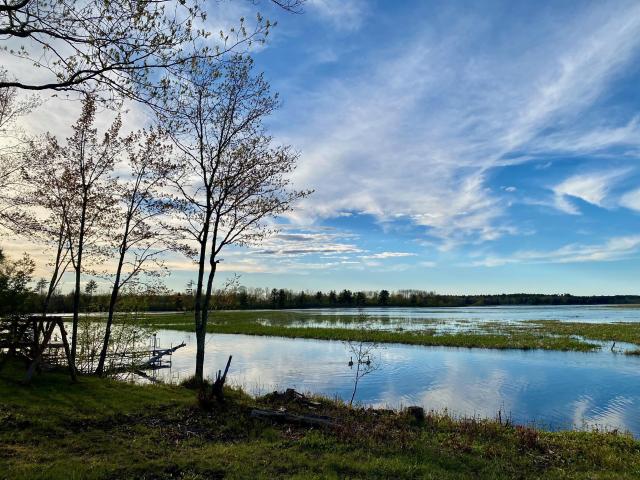 Land for sale in Gordon, Wisconsin