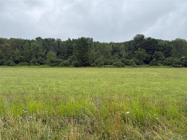 Land for sale in New York