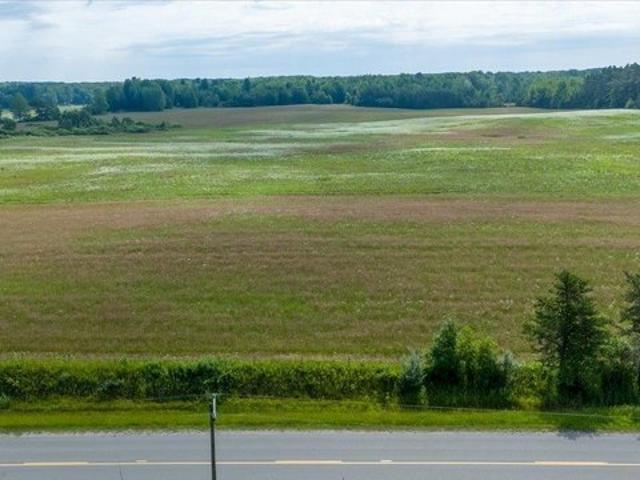Land for sale in Hale, Michigan