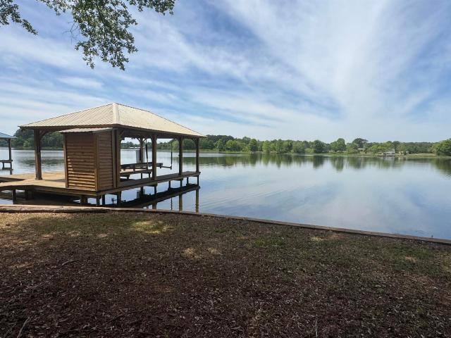 Land for sale in Alpine, Alabama