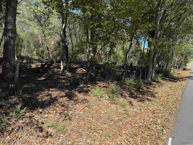 Land for sale in Mountain Pine, Garland County