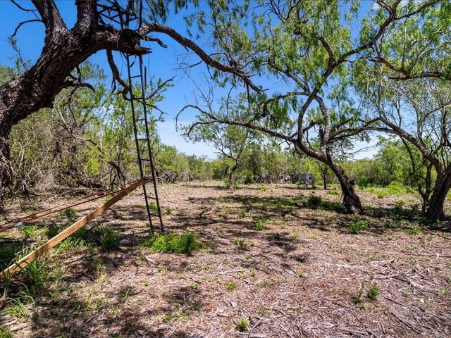Land for sale in Sandia