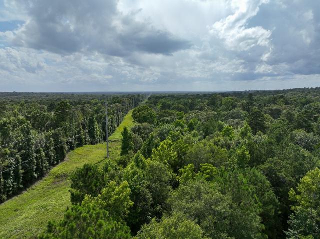 Land for sale in Halls Bluff, Crockett