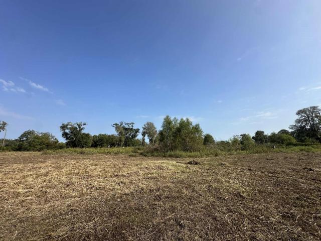 Land for sale in Brazoria, Texas