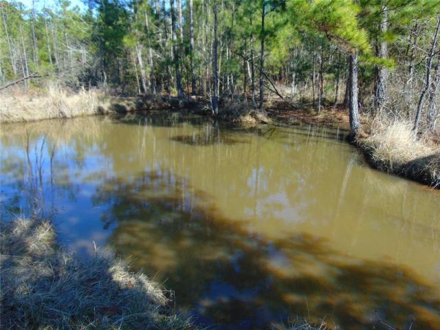 Land for sale in San Augustine, Texas