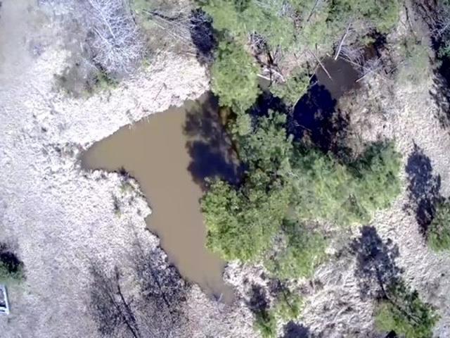 Land for sale in San Augustine, Texas
