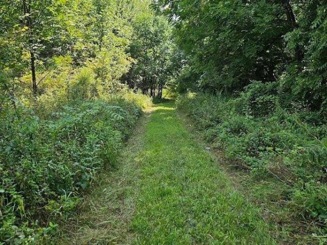 Land for sale in Saint Joe, Indiana