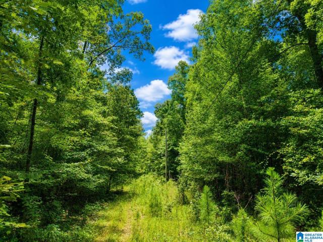 Land for sale in Blount, Alabama