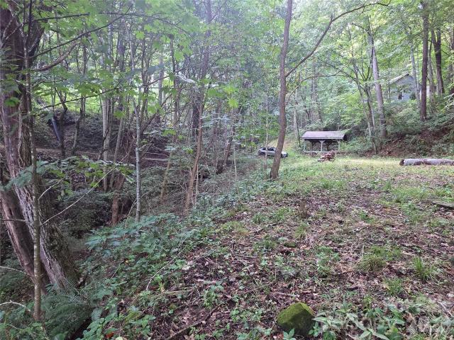 Land for sale in Haywood, North Carolina