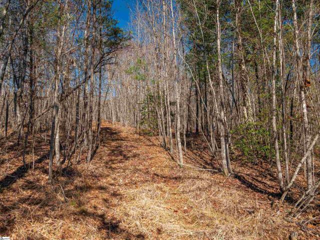 Land for sale in Six Mile Run, South Carolina