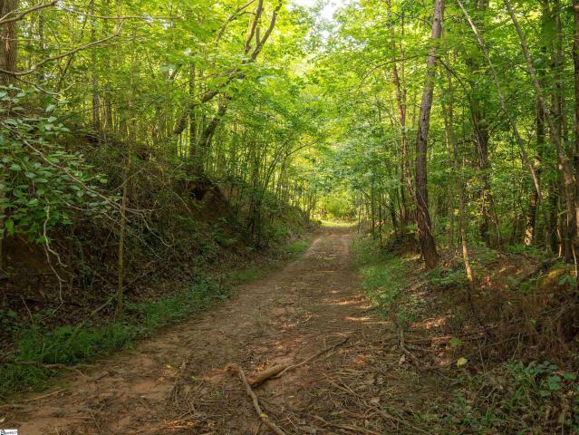Land for sale in Six Mile Run, South Carolina