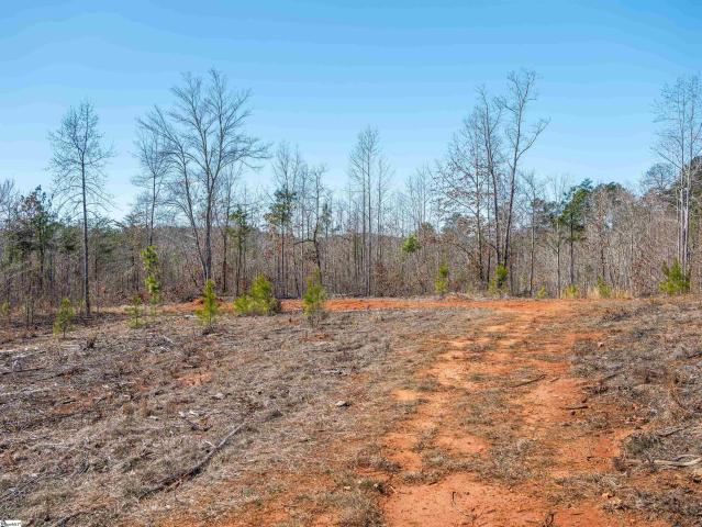 Land for sale in Six Mile Run, South Carolina